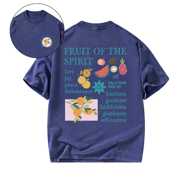 Fruits Of The Spirit Christian Washed T-Shirt