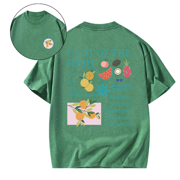 Fruits Of The Spirit Christian Washed T-Shirt