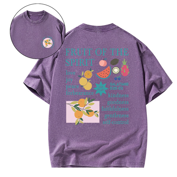 Fruits Of The Spirit Christian Washed T-Shirt