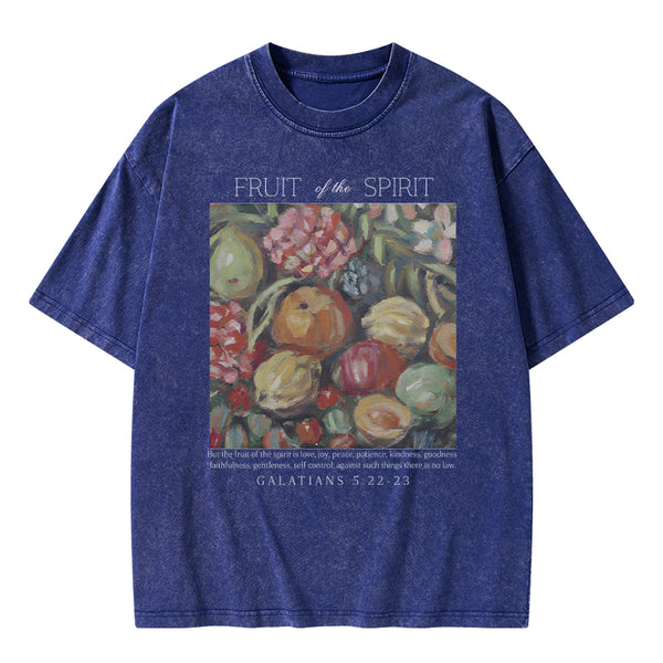 Fruit Of The Spirit Christian Washed T-Shirt