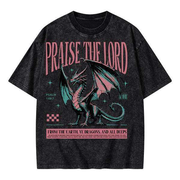 Praise The Lord Christian Washed T-Shirt