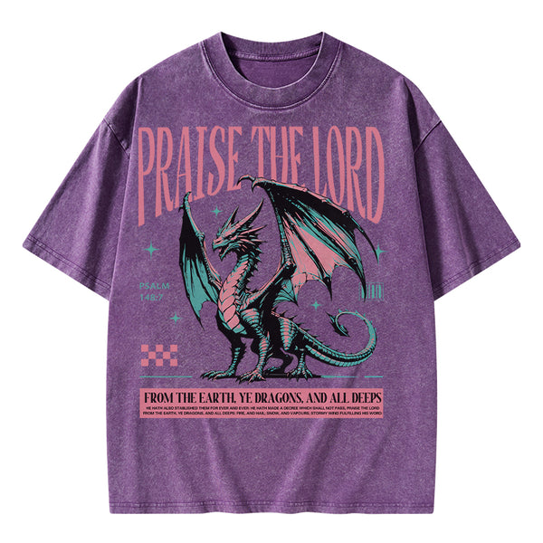 Praise The Lord Christian Washed T-Shirt