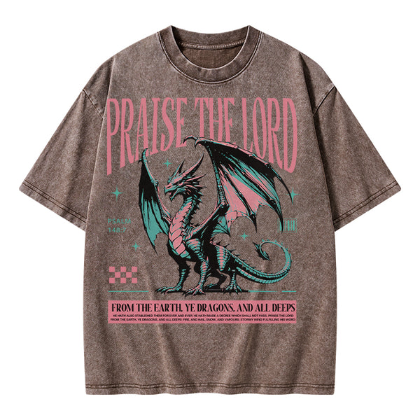 Praise The Lord Christian Washed T-Shirt
