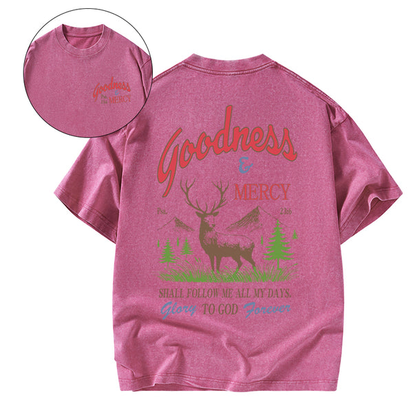 Goodness And Mercy Christian Washed T-Shirt