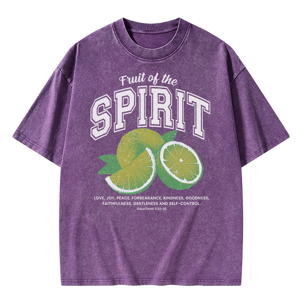 Fruit Of The Spirit Christian Washed T-Shirt