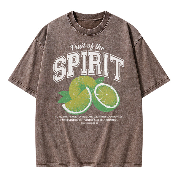 Fruit Of The Spirit Christian Washed T-Shirt