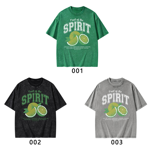 Fruit Of The Spirit Christian Washed T-Shirt