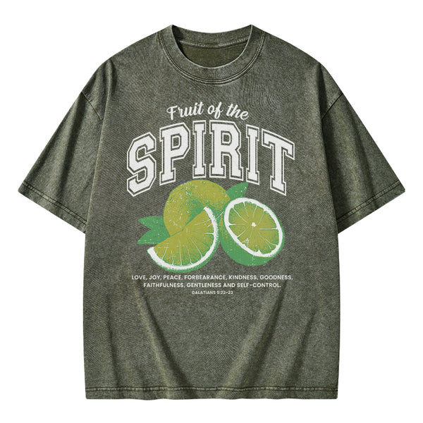 Fruit Of The Spirit Christian Washed T-Shirt