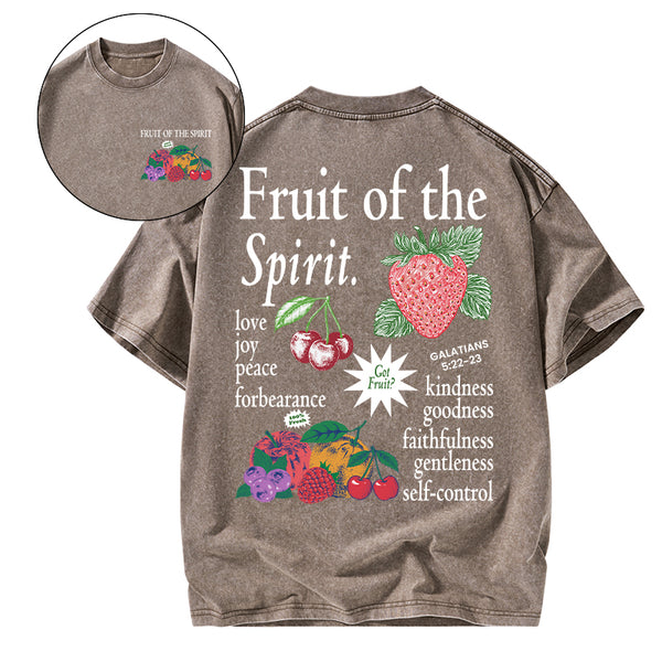 Fruit Of The Spirit Christian Washed T-Shirt