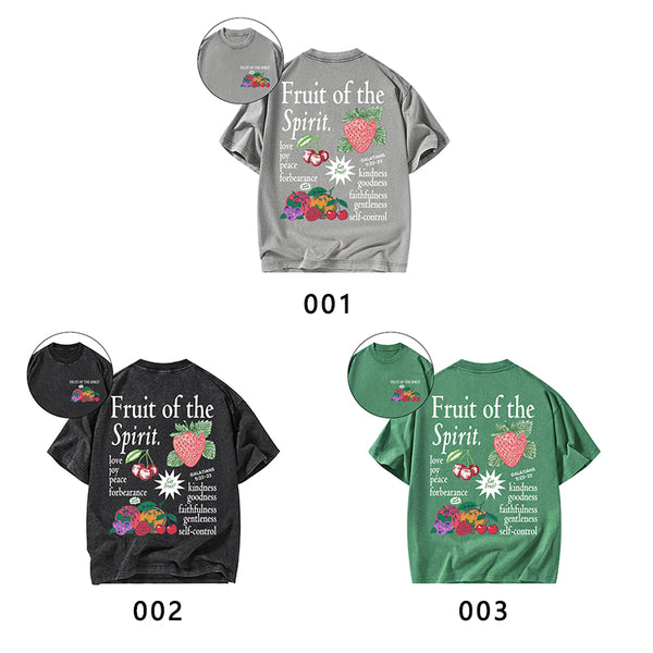 Fruit Of The Spirit Christian Washed T-Shirt