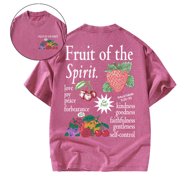 Fruit Of The Spirit Christian Washed T-Shirt