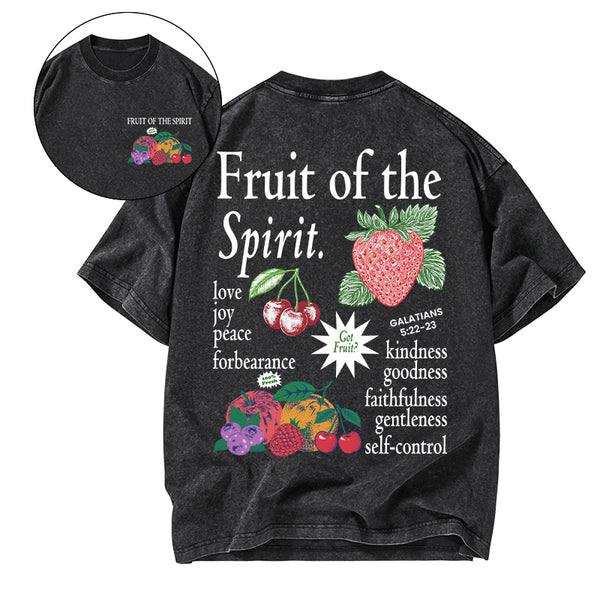 Fruit Of The Spirit Christian Washed T-Shirt
