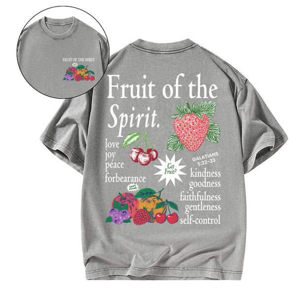 Fruit Of The Spirit Christian Washed T-Shirt