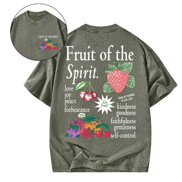 Fruit Of The Spirit Christian Washed T-Shirt