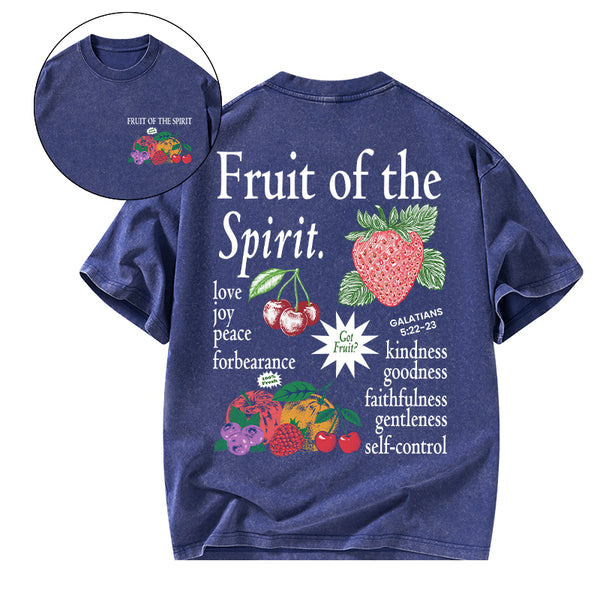 Fruit Of The Spirit Christian Washed T-Shirt
