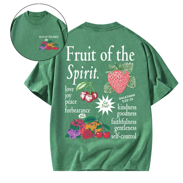 Fruit Of The Spirit Christian Washed T-Shirt