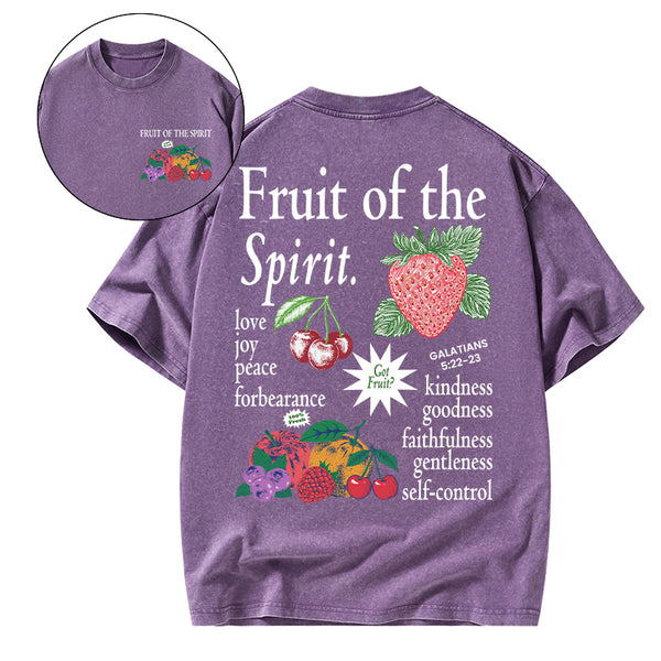 Fruit Of The Spirit Christian Washed T-Shirt