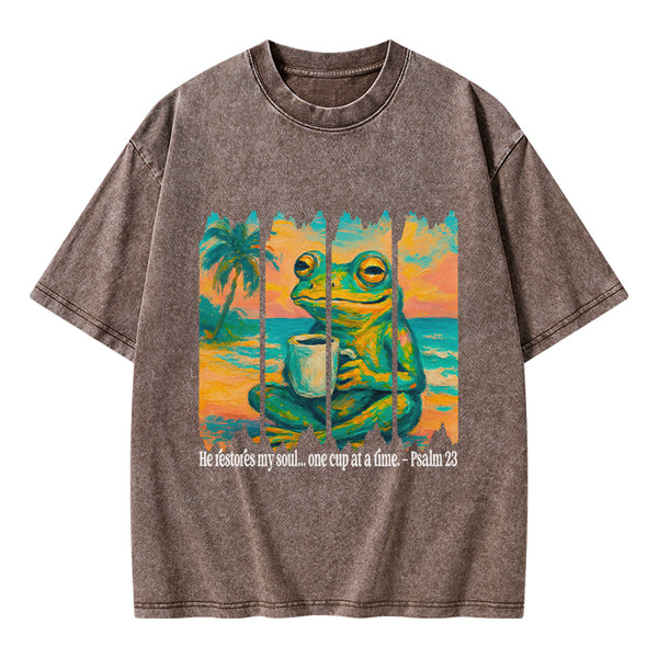 He Restore My Soul Christian Washed T-Shirt