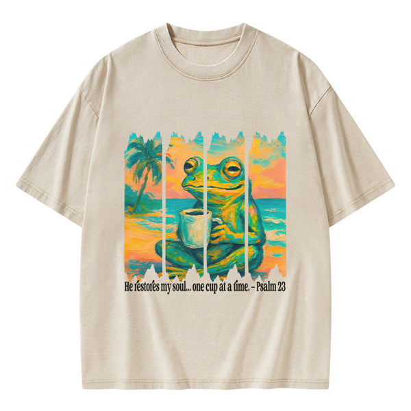 He Restore My Soul Christian Washed T-Shirt