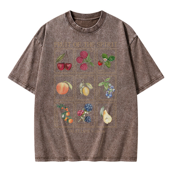 Fruit Of The Spirit Christian Washed T-Shirt
