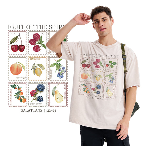 Fruit Of The Spirit Christian Washed T-Shirt