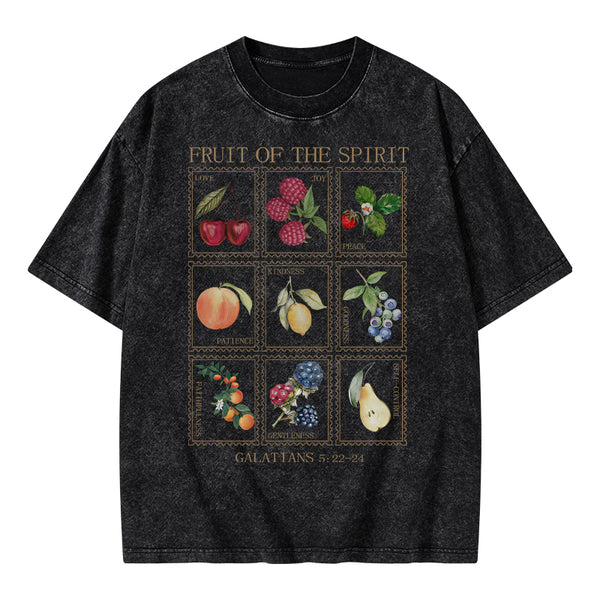 Fruit Of The Spirit Christian Washed T-Shirt