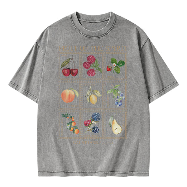 Fruit Of The Spirit Christian Washed T-Shirt