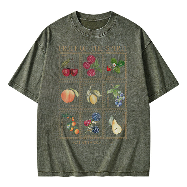 Fruit Of The Spirit Christian Washed T-Shirt