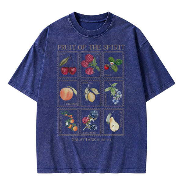 Fruit Of The Spirit Christian Washed T-Shirt