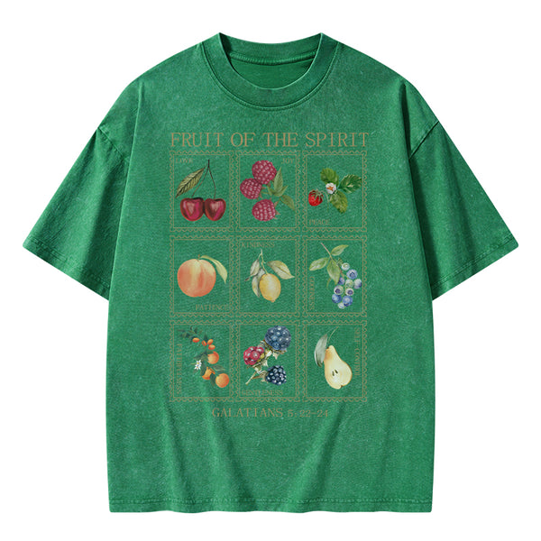 Fruit Of The Spirit Christian Washed T-Shirt