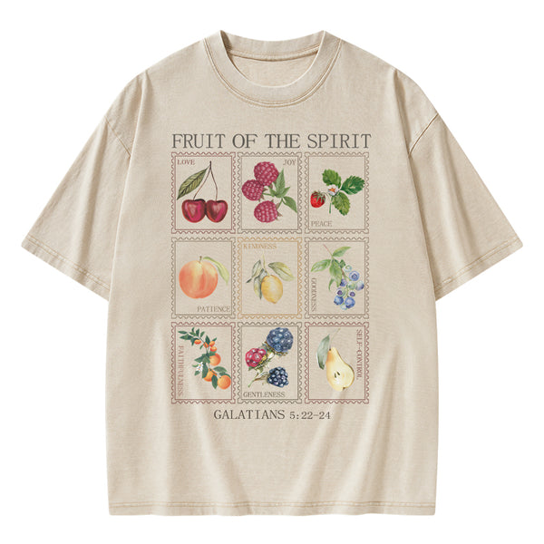 Fruit Of The Spirit Christian Washed T-Shirt