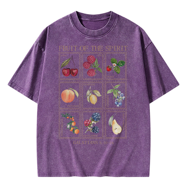 Fruit Of The Spirit Christian Washed T-Shirt