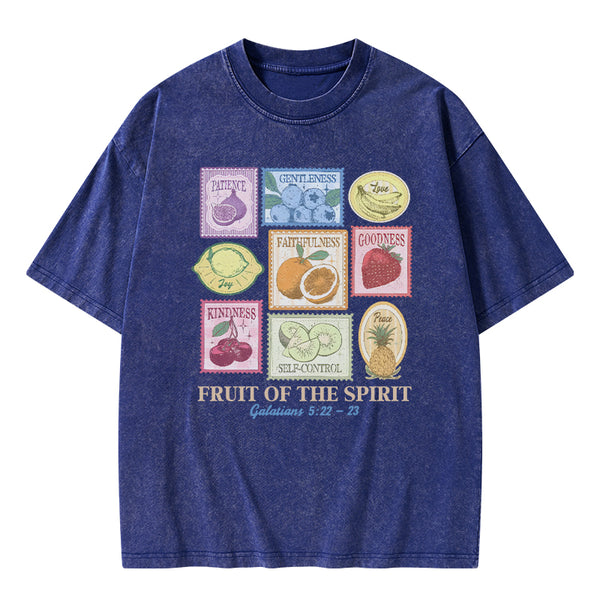 GC-WTS2353 Fruit Of The Spirit Christian Washed T-Shirt