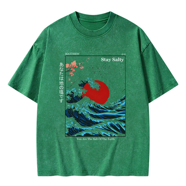 GC-WTSA0056 You Are The Salt Of The Earth Washed T-Shirt