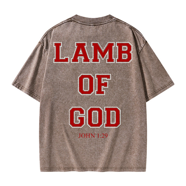 GC-WTSA0669 Lamb Of God Christian Washed T-Shirt