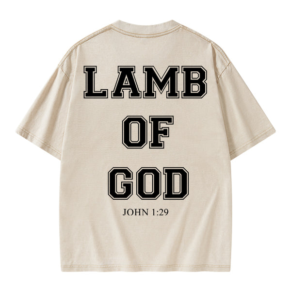 GC-WTSA0669 Lamb Of God Christian Washed T-Shirt