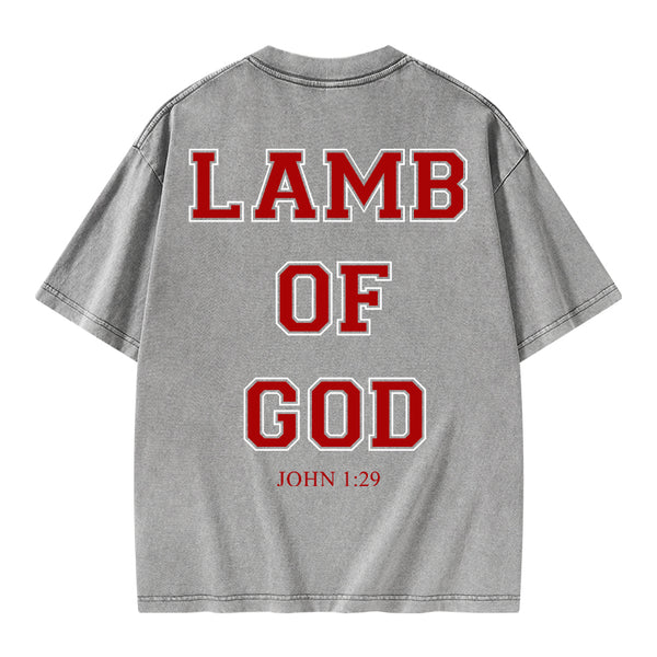 GC-WTSA0669 Lamb Of God Christian Washed T-Shirt