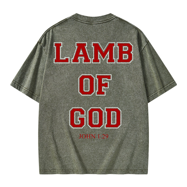 GC-WTSA0669 Lamb Of God Christian Washed T-Shirt