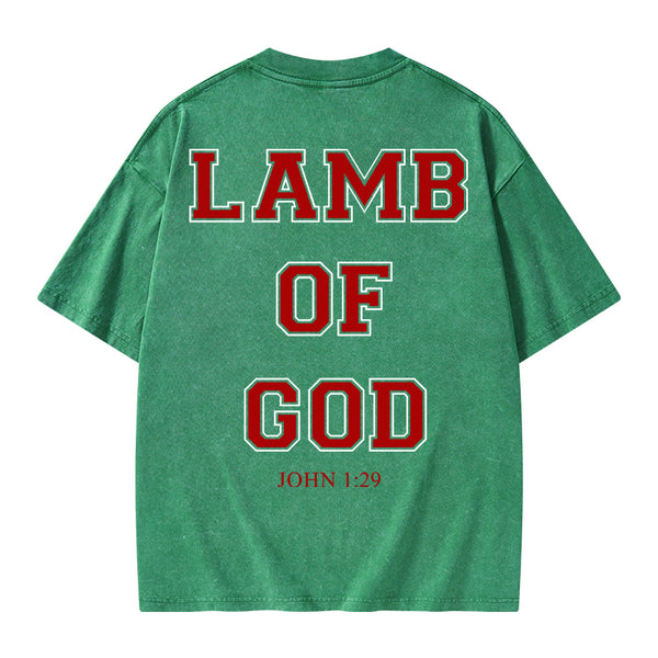 GC-WTSA0669 Lamb Of God Christian Washed T-Shirt