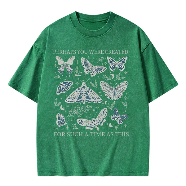 GC-WTSA0827 Perhaps You Were Created Christian Washed T-Shirt