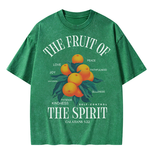 The Fruit Of Spirit Christian Wahsed T-Shirt