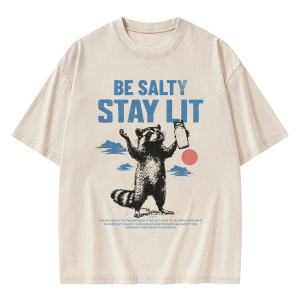 GC-WTSA1614 Be Salty Stay Lit Christian Washed T-Shirt