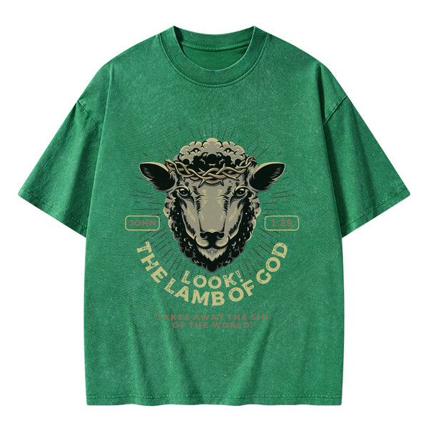 GC-WTSA1653 Look! The Lamb Of God Christian Washed T-Shirt