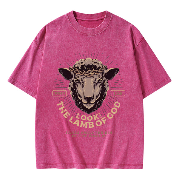 GC-WTSA1653 Look! The Lamb Of God Christian Washed T-Shirt
