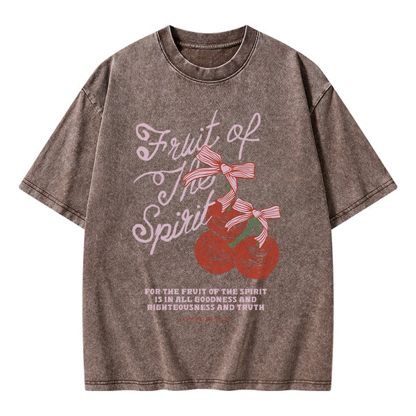 GC-WTSA1663 Fruit Of The Spirit Christian Washed T-Shirt