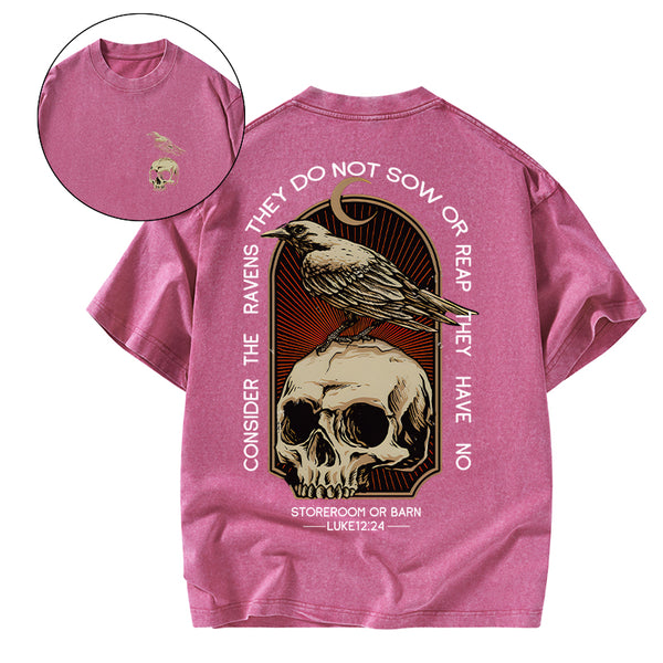 GC-WTSA1750 Consider the ravens Christian Washed T-Shirt