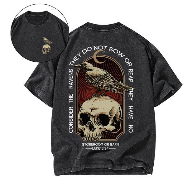 GC-WTSA1750 Consider the ravens Christian Washed T-Shirt