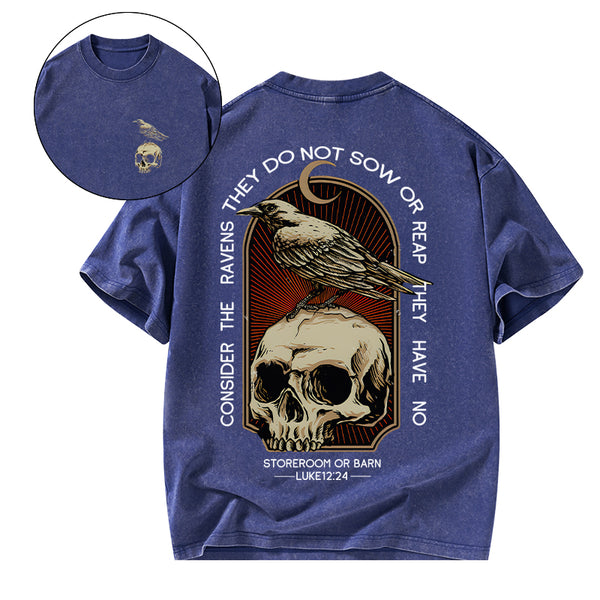 GC-WTSA1750 Consider the ravens Christian Washed T-Shirt