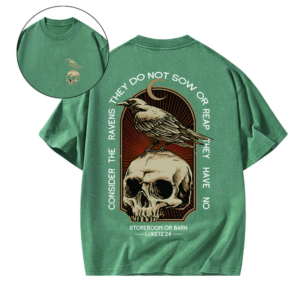 GC-WTSA1750 Consider the ravens Christian Washed T-Shirt