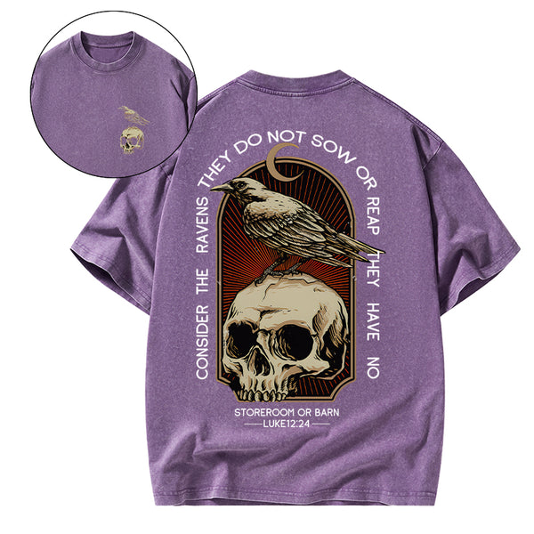 GC-WTSA1750 Consider the ravens Christian Washed T-Shirt